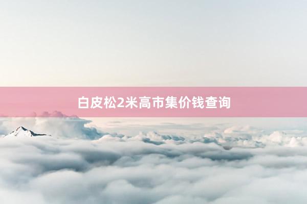 白皮松2米高市集价钱查询