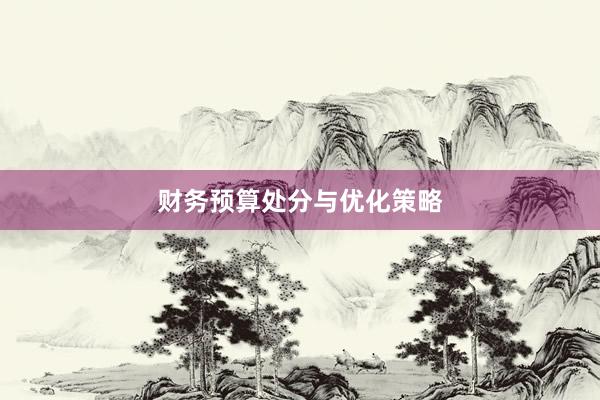 财务预算处分与优化策略